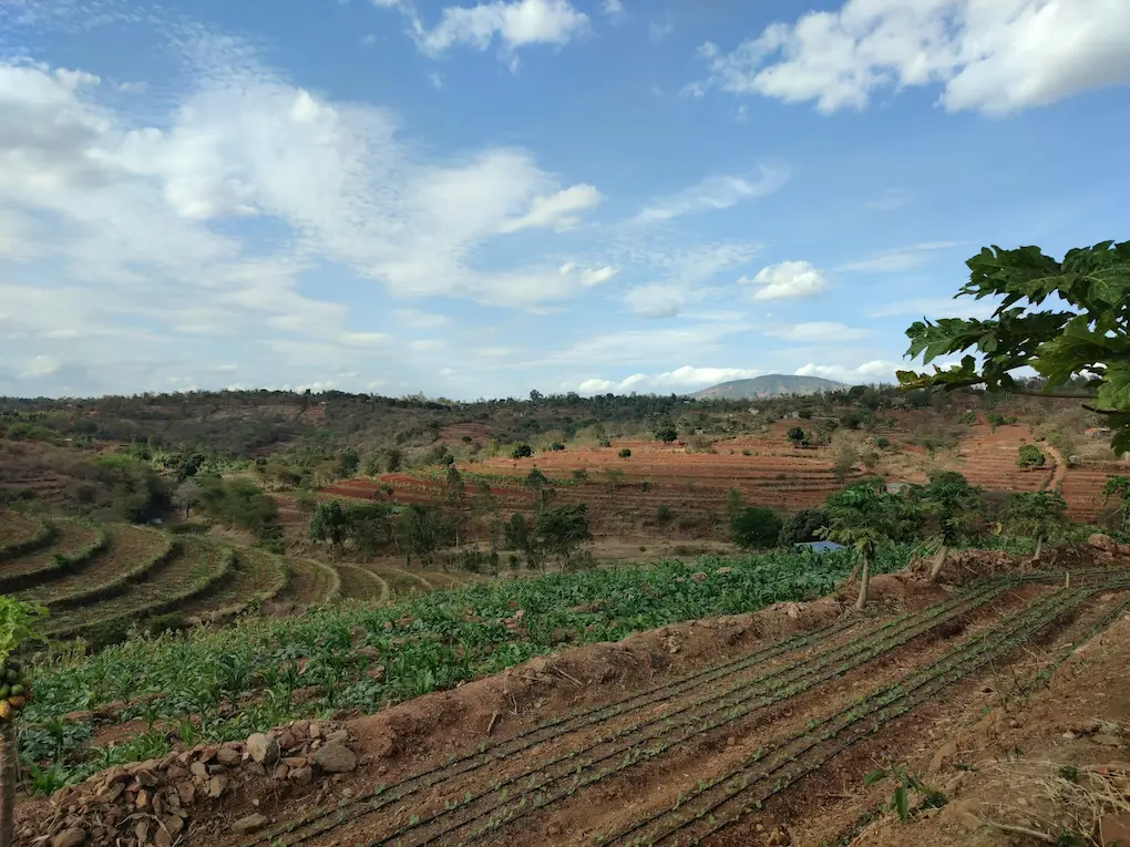 Agricultural Grants and Resources in Kenya – 2026 Guide